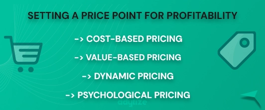 Setting a price point for profitability infographic by adytize