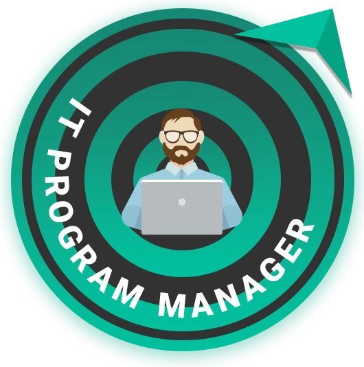 IT Program Manager career