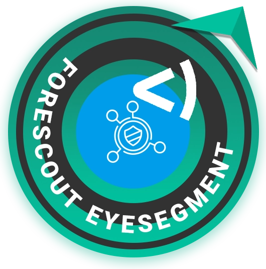 Forescout eyeSegment tool